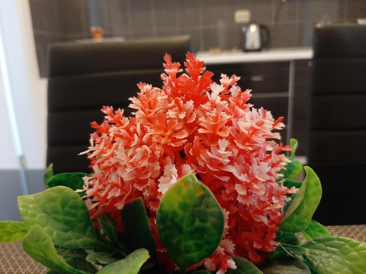 Apartment & Room Toma 斯莫利亚纳茨 外观 照片