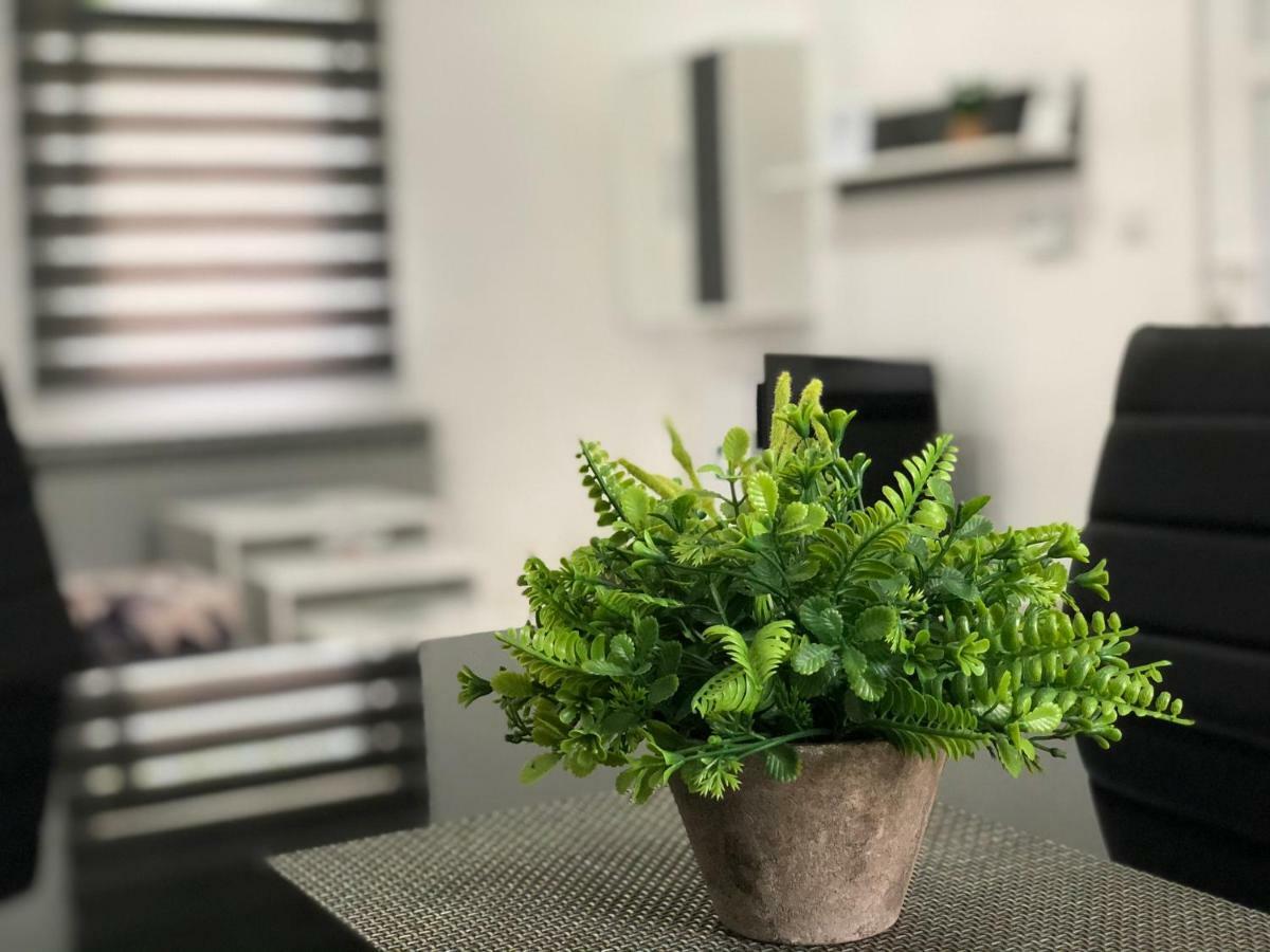 Apartment & Room Toma 斯莫利亚纳茨 外观 照片
